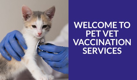 Welcome to the Pet Vet Vaccination Services's Blog!