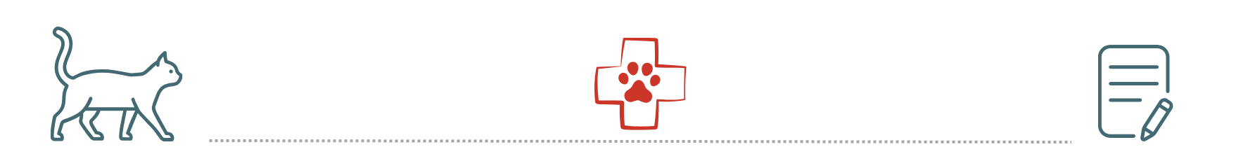 preparing for emergency care with pet insurance at Pet Vet Vaccination Services Central Florida FL