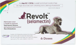 canine-revolt