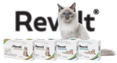 feline-revolt