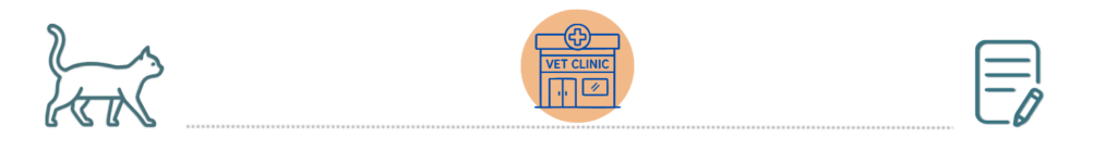 preparing for emergency care with pet insurance at Pet Vet Vaccination Services Central Florida FL