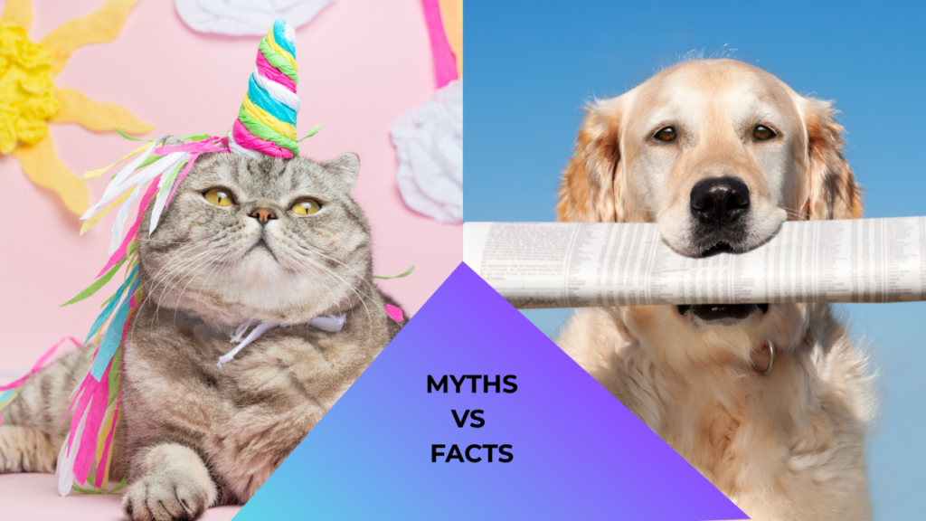 Cat wearing a unicorn hat beside a dog holding a newspaper, with "Myths vs Facts" text in the center.