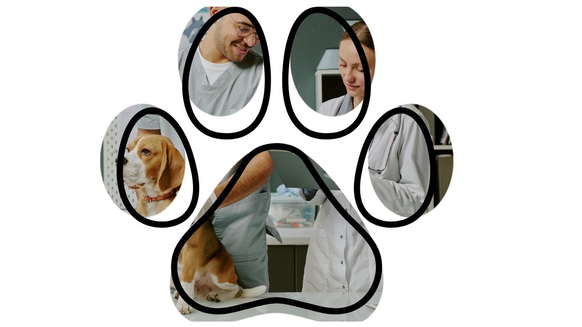A dog is being examined by two veterinarians inside a large paw print shape.
