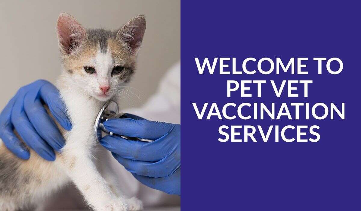 A vet in blue gloves uses a stethoscope on a small kitten.
