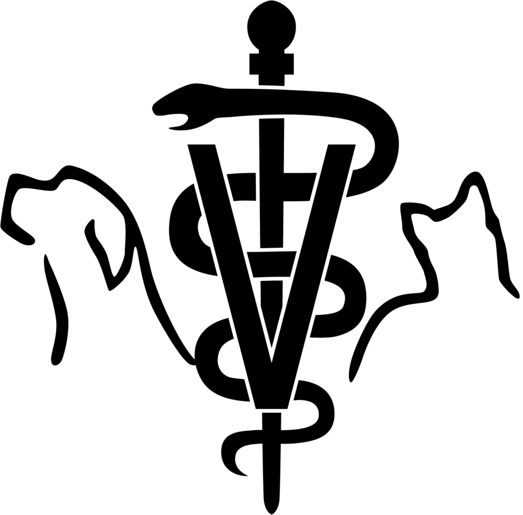 A solid black square with no visible details or subjects.